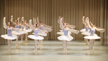 Академия русского балета им. Вагановой