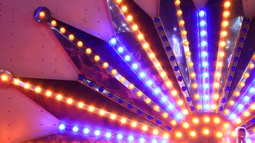 Шоу бурых медведей