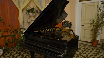 Экскурсия в особняк Шрёдера + концерт «Мгновения весны»