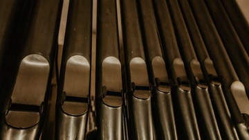 Орган и только орган