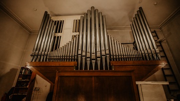 Фламандские мастера: органная музыка Нидерландов от барокко до современности