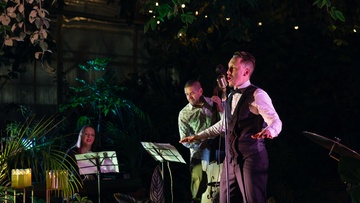 Магия свечей. Трибьют Sting в оранжерее