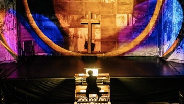 Ночной орган