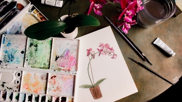 Я творец. Создавая новые миры