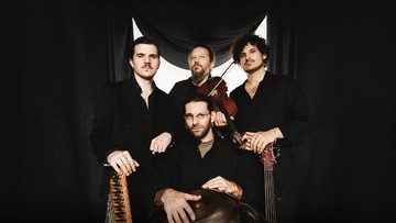 Треугольный сон