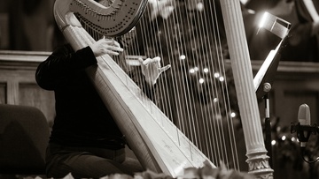 Класс арфы Надежды Сергеевой