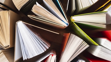 Девушка с жемчужной серёжкой: книга, фильм, образ