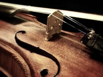 Мастерская скрипичного искусства